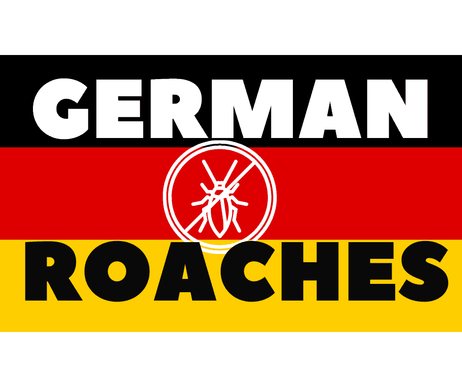 German Roach Treatments.  German Roach Treatment Grant-Valkaria, Exterminate German Roaches Grant-Valkaria, Get Rid of German Roaches Fast Grant-Valkaria, German Roach Killer Service Grant-Valkaria, Professional German Roach Control Grant-Valkaria,
German Roach Treatment Malabar, Exterminate German Roaches Malabar, Get Rid of German Roaches Fast Malabar, German Roach Killer Service Malabar, Professional German Roach Control Malabar,
German Roach Treatment Palm Bay, Exterminate German Roaches Palm Bay, Get Rid of German Roaches Fast Palm Bay, German Roach Killer Service Palm Bay, Professional German Roach Control Palm Bay,
German Roach Treatment Turkey Creek, Exterminate German Roaches Turkey Creek, Get Rid of German Roaches Fast Turkey Creek, German Roach Killer Service Turkey Creek, Professional German Roach Control Turkey Creek,
German Roach Treatment Melbourne Village, Exterminate German Roaches Melbourne Village, Get Rid of German Roaches Fast Melbourne Village, German Roach Killer Service Melbourne Village, Professional German Roach Control Melbourne Village,
German Roach Treatment West Melbourne, Exterminate German Roaches West Melbourne, Get Rid of German Roaches Fast West Melbourne, German Roach Killer Service West Melbourne, Professional German Roach Control West Melbourne,
German Roach Treatment Melbourne, Exterminate German Roaches Melbourne, Get Rid of German Roaches Fast Melbourne, German Roach Killer Service Melbourne, Professional German Roach Control Melbourne,
German Roach Treatment Palm Shores, Exterminate German Roaches Palm Shores, Get Rid of German Roaches Fast Palm Shores, German Roach Killer Service Palm Shores, Professional German Roach Control Palm Shores,
German Roach Treatment Suntree, Exterminate German Roaches Suntree, Get Rid of German Roaches Fast Suntree, German Roach Killer Service Suntree, Professional German Roach Control Suntree,
German Roach Treatment South Patrick Shores, Exterminate German Roaches South Patrick Shores, Get Rid of German Roaches Fast South Patrick Shores, German Roach Killer Service South Patrick Shores, Professional German Roach Control South Patrick Shores,
German Roach Treatment Viera, Exterminate German Roaches Viera, Get Rid of German Roaches Fast Viera, German Roach Killer Service Viera, Professional German Roach Control Viera,
German Roach Treatment Rockledge, Exterminate German Roaches Rockledge, Get Rid of German Roaches Fast Rockledge, German Roach Killer Service Rockledge, Professional German Roach Control Rockledge,
German Roach Treatment Cocoa, Exterminate German Roaches Cocoa, Get Rid of German Roaches Fast Cocoa, German Roach Killer Service Cocoa, Professional German Roach Control Cocoa,
German Roach Treatment Merritt Island, Exterminate German Roaches Merritt Island, Get Rid of German Roaches Fast Merritt Island, German Roach Killer Service Merritt Island, Professional German Roach Control Merritt Island,
German Roach Treatment Cape Canaveral, Exterminate German Roaches Cape Canaveral, Get Rid of German Roaches Fast Cape Canaveral, German Roach Killer Service Cape Canaveral, Professional German Roach Control Cape Canaveral,
German Roach Treatment Cocoa Beach, Exterminate German Roaches Cocoa Beach, Get Rid of German Roaches Fast Cocoa Beach, German Roach Killer Service Cocoa Beach, Professional German Roach Control Cocoa Beach,
German Roach Treatment Avon By the Sea, Exterminate German Roaches Avon By the Sea, Get Rid of German Roaches Fast Avon By the Sea, German Roach Killer Service Avon By the Sea, Professional German Roach Control Avon By the Sea,
German Roach Treatment Indian Harbour Beach, Exterminate German Roaches Indian Harbour Beach, Get Rid of German Roaches Fast Indian Harbour Beach, German Roach Killer Service Indian Harbour Beach, Professional German Roach Control Indian Harbour Beach,
German Roach Treatment Indialantic, Exterminate German Roaches Indialantic, Get Rid of German Roaches Fast Indialantic, German Roach Killer Service Indialantic, Professional German Roach Control Indialantic,
German Roach Treatment Melbourne Beach, Exterminate German Roaches Melbourne Beach, Get Rid of German Roaches Fast Melbourne Beach, German Roach Killer Service Melbourne Beach, Professional German Roach Control Melbourne Beach,
German Roach Treatment Floridana Beach, Exterminate German Roaches Floridana Beach, Get Rid of German Roaches Fast Floridana Beach, German Roach Killer Service Floridana Beach, Professional German Roach Control Floridana Beach,
German Roach Treatment Roseland, Exterminate German Roaches Roseland, Get Rid of German Roaches Fast Roseland, German Roach Killer Service Roseland, Professional German Roach Control Roseland,
German Roach Treatment Vero Beach, Exterminate German Roaches Vero Beach, Get Rid of German Roaches Fast Vero Beach, German Roach Killer Service Vero Beach, Professional German Roach Control Vero Beach,
German Roach Treatment Orchid, Exterminate German Roaches Orchid, Get Rid of German Roaches Fast Orchid, German Roach Killer Service Orchid, Professional German Roach Control Orchid,
German Roach Treatment John’s Island, Exterminate German Roaches John’s Island, Get Rid of German Roaches
German Roach Treatment John’s Island, Get Rid of German Roaches Fast John’s Island, German Roach Killer Service John’s Island, Professional German Roach Control John’s Island,
German Roach Treatment Indian River Shores, Exterminate German Roaches Indian River Shores, Get Rid of German Roaches Fast Indian River Shores, German Roach Killer Service Indian River Shores, Professional German Roach Control Indian River Shores,
German Roach Treatment North Hutchinson Island, Exterminate German Roaches North Hutchinson Island, Get Rid of German Roaches Fast North Hutchinson Island, German Roach Killer Service North Hutchinson Island, Professional German Roach Control North Hutchinson Island,
German Roach Treatment South Beach, Exterminate German Roaches South Beach, Get Rid of German Roaches Fast South Beach, German Roach Killer Service South Beach, Professional German Roach Control South Beach,
German Roach Treatment Vero Lake Estates, Exterminate German Roaches Vero Lake Estates, Get Rid of German Roaches Fast Vero Lake Estates, German Roach Killer Service Vero Lake Estates, Professional German Roach Control Vero Lake Estates,
German Roach Treatment Fellsmere, Exterminate German Roaches Fellsmere, Get Rid of German Roaches Fast Fellsmere, German Roach Killer Service Fellsmere, Professional German Roach Control Fellsmere,
German Roach Treatment Wabasso Beach, Exterminate German Roaches Wabasso Beach, Get Rid of German Roaches Fast Wabasso Beach, German Roach Killer Service Wabasso Beach, Professional German Roach Control Wabasso Beach,
German Roach Treatment Sebastian, Exterminate German Roaches Sebastian, Get Rid of German Roaches Fast Sebastian, German Roach Killer Service Sebastian, Professional German Roach Control Sebastian,
German Roach Treatment Barefoot Bay, Exterminate German Roaches Barefoot Bay, Get Rid of German Roaches Fast Barefoot Bay, German Roach Killer Service Barefoot Bay, Professional German Roach Control Barefoot Bay