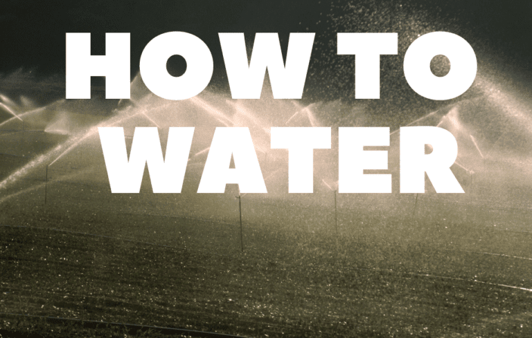 How to water your lawn
