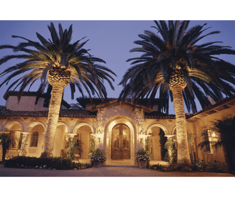 Once-A-Year Pest Control; Annual Pest Control Service