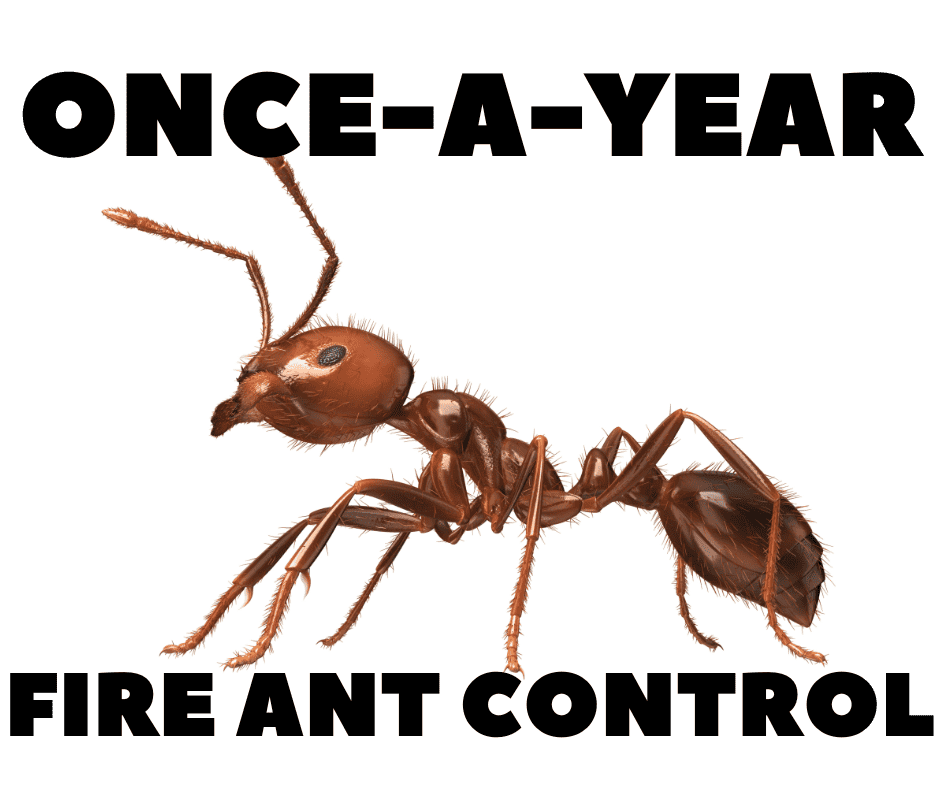 Once-A-Year Fire Ant Control
