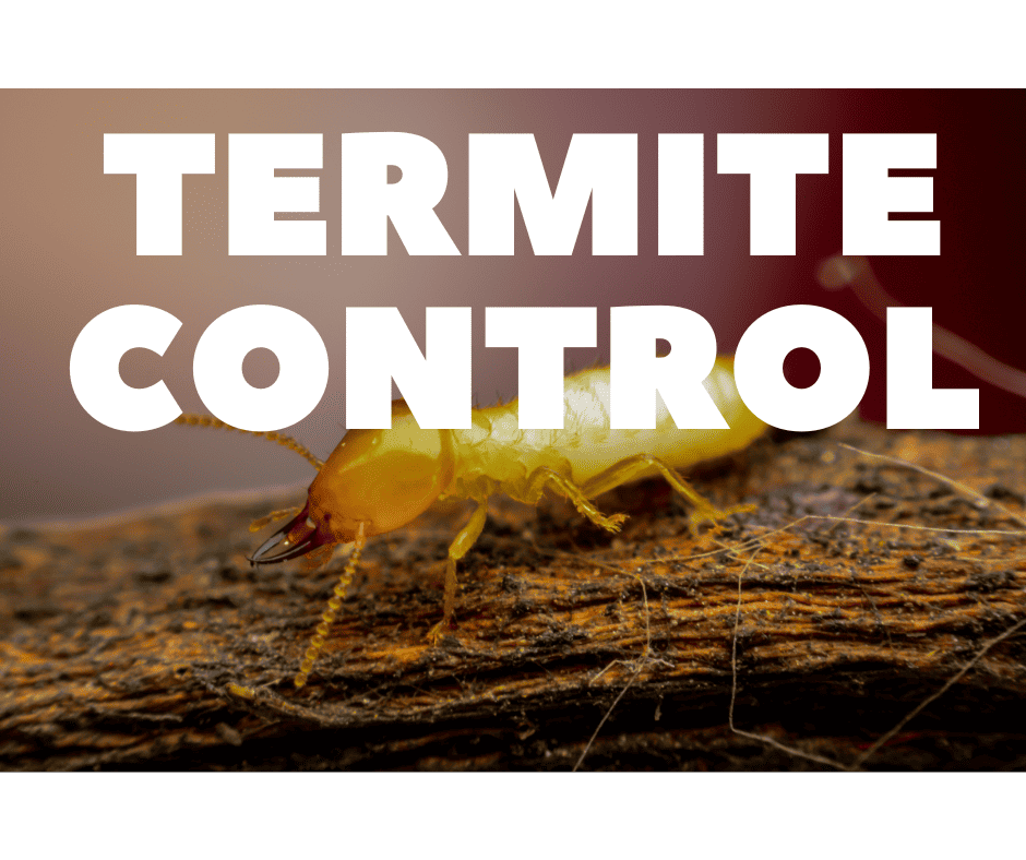 West Melbourne, FL Termite Control Service. Trusted termite company in Melbourne, FL We provide Termite Control Services in Palm Bay, Melbourne, Suntree, Viera, Cocoa, Merritt Island, Cape Canaveral, Cocoa Beach, Satellite Beach, Indian Harbour Beach, Indialantic, Melbourne Beach, Vero Beach, Sebastian