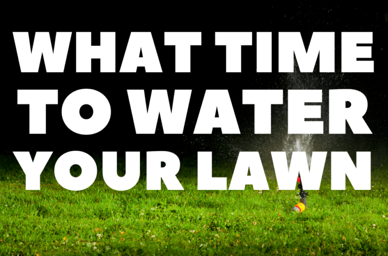 THE BEST TIME TO WATER YOUR LAWN
