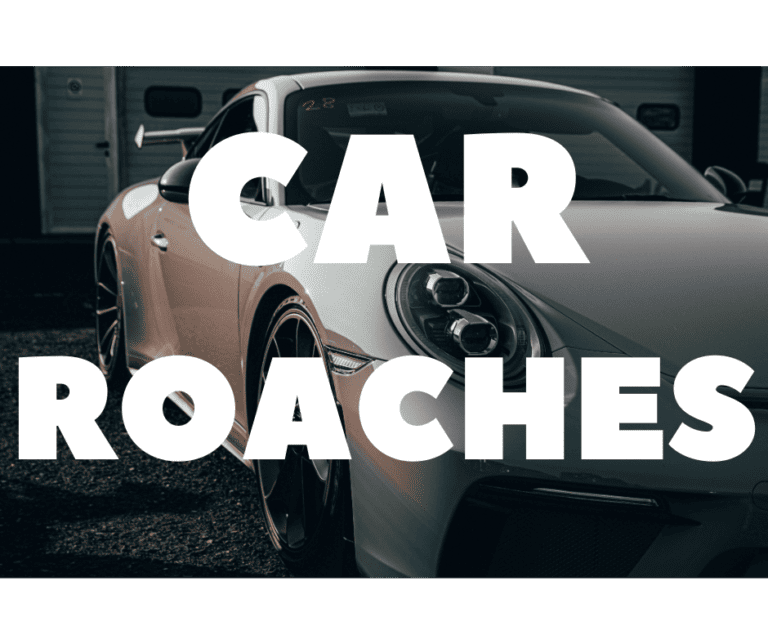 Car Roach Treatments, Fast & Guaranteed