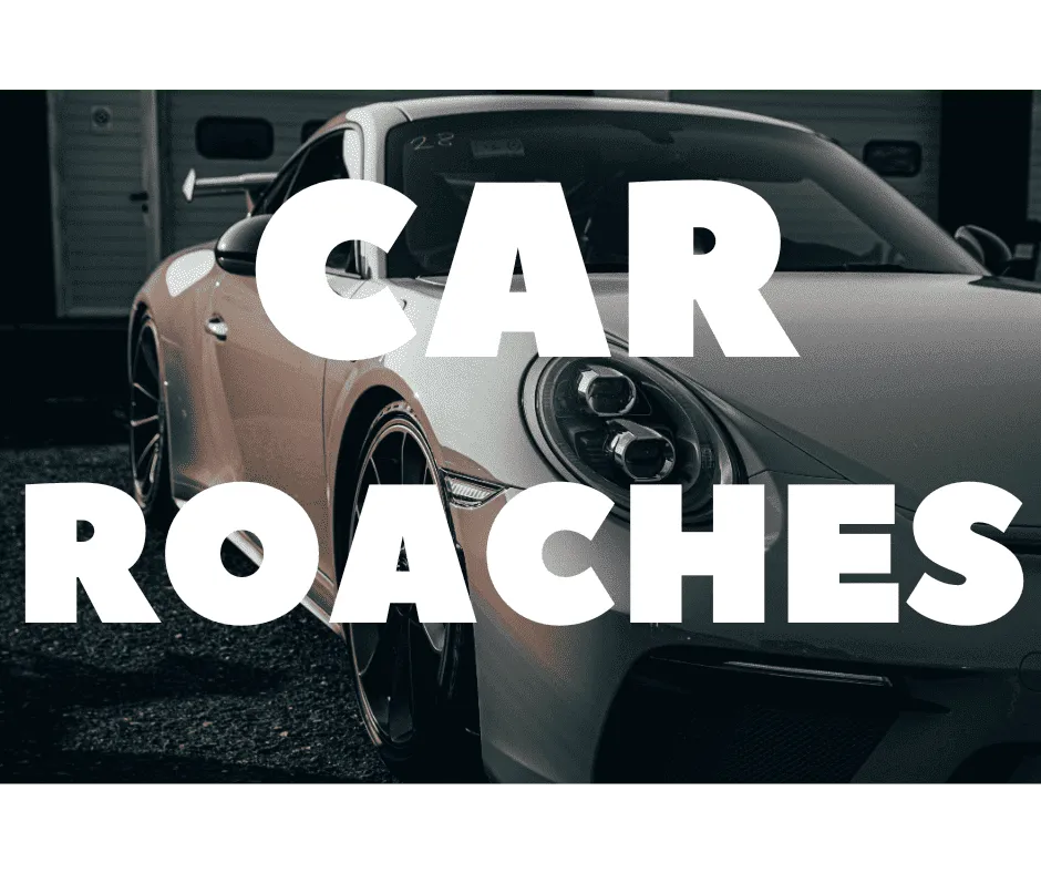 Car Roach Treatments