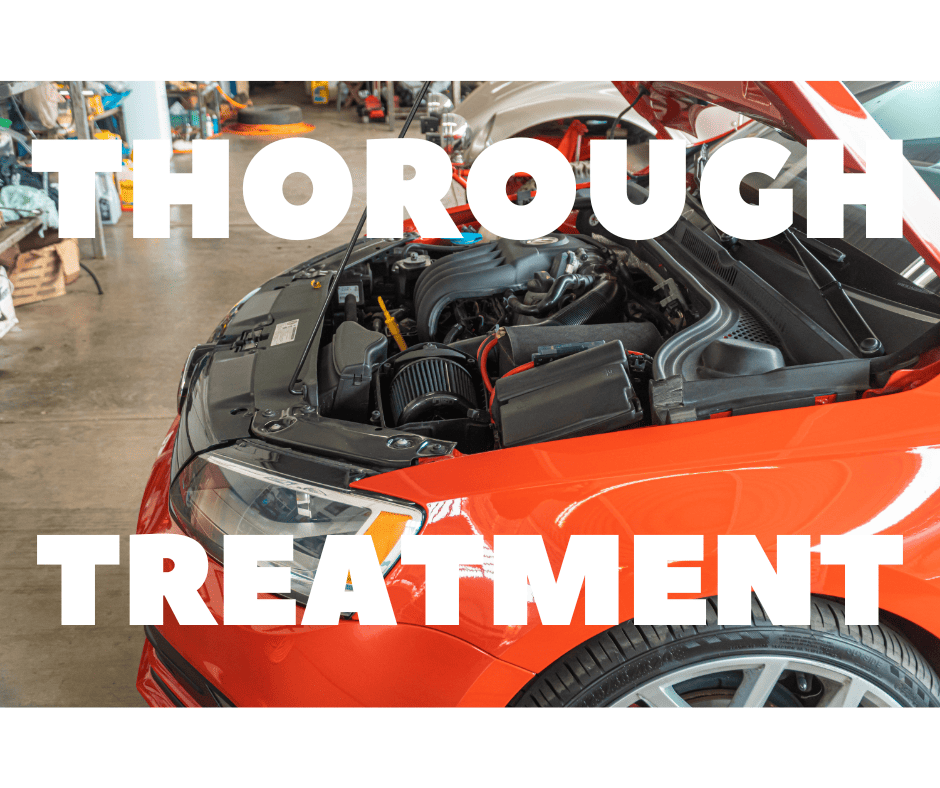 Car Roach Treatments, Fast & Guaranteed