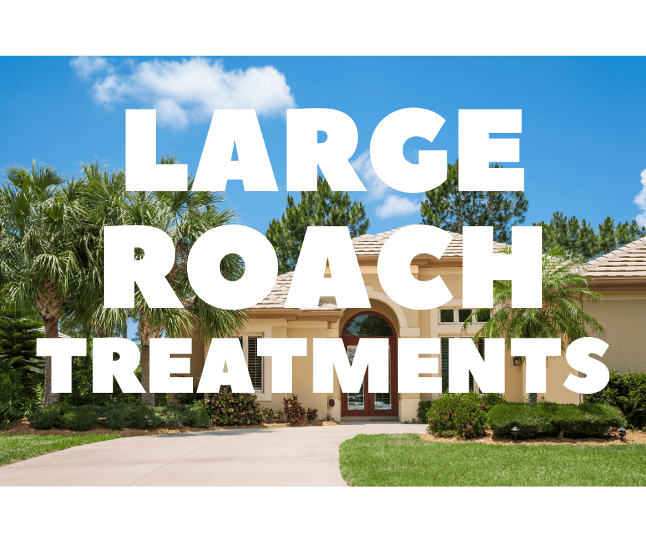 Large Roach Control