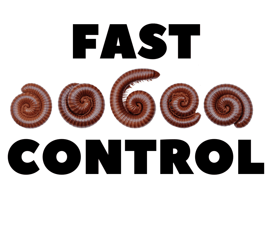 Fast Millipede Control