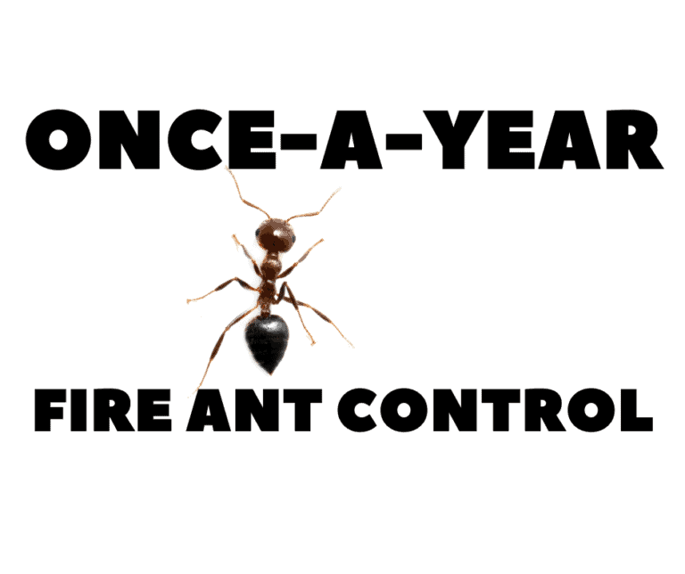 Guaranteed Once-A-Year Fire Ant Control