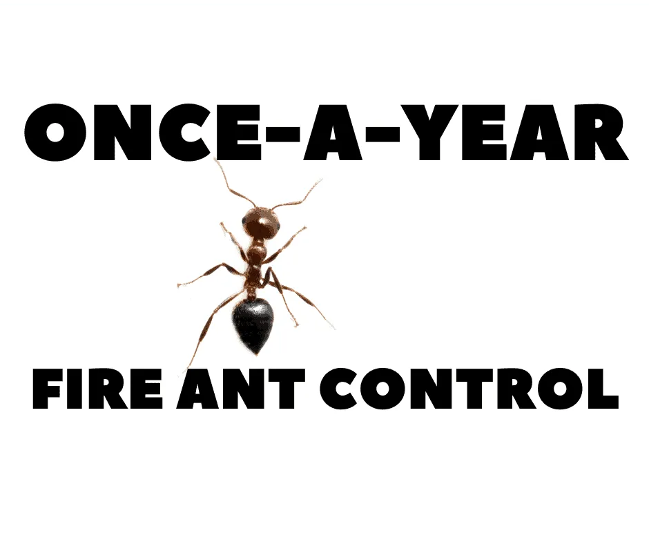 Once-A-Year Fire Ant Control