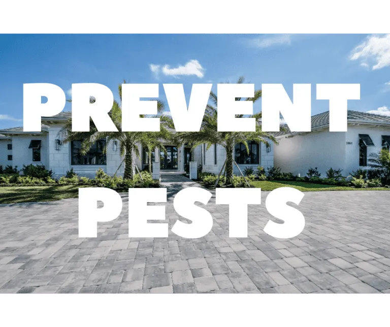 Once-A-Year Pest Control; Integrated Pest Control (IPM)