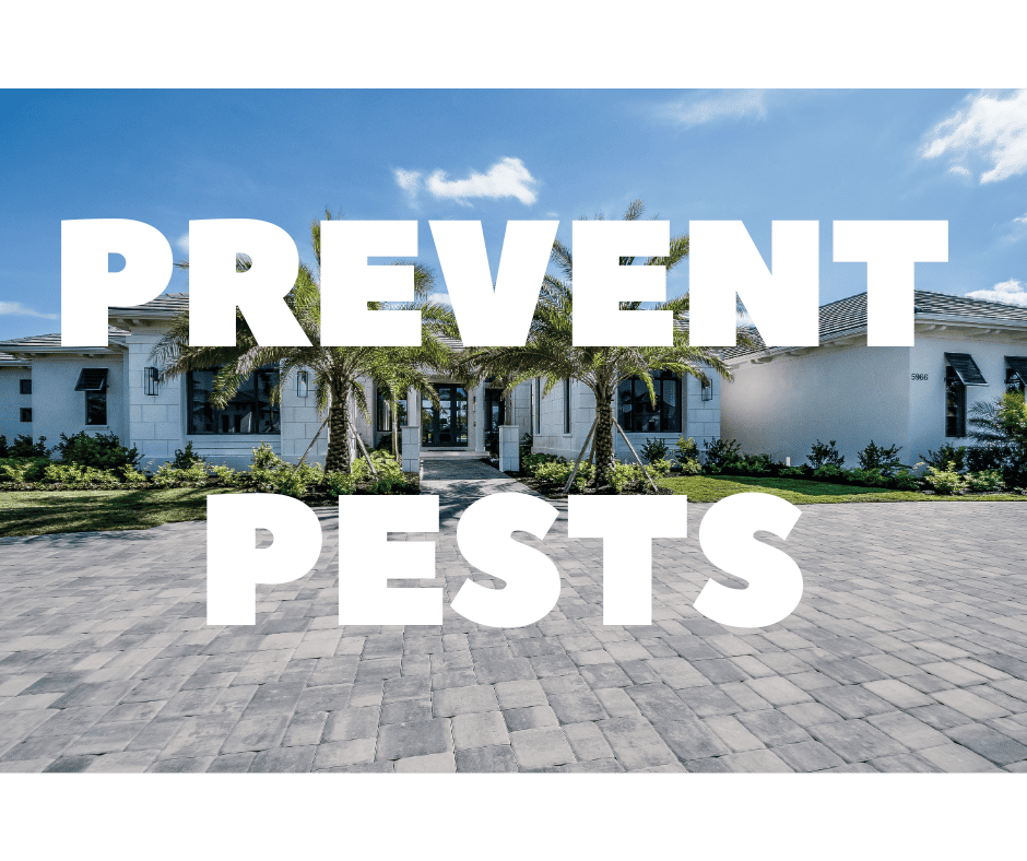 Prevent Pests