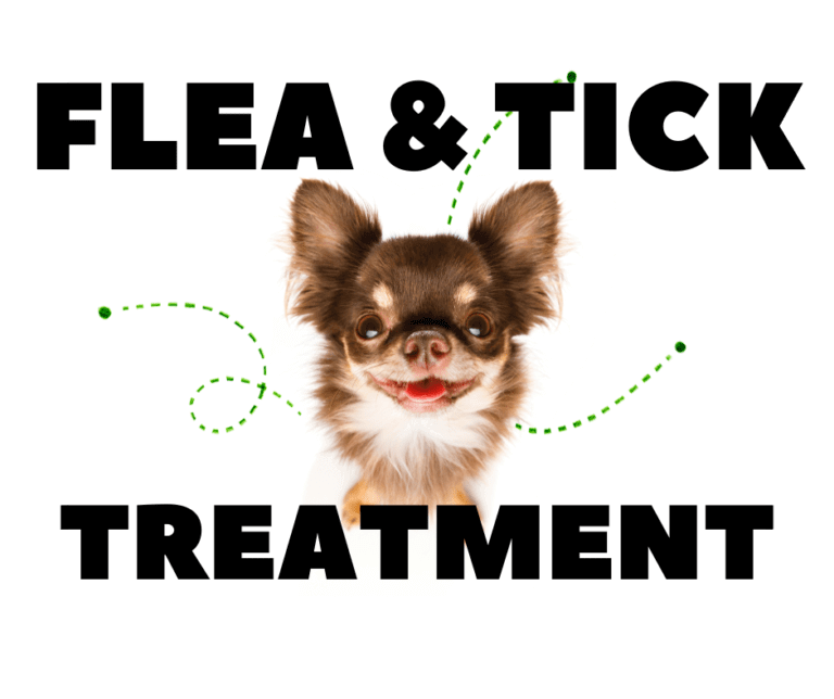 Flea and Tick Treatment; Safe & Effective