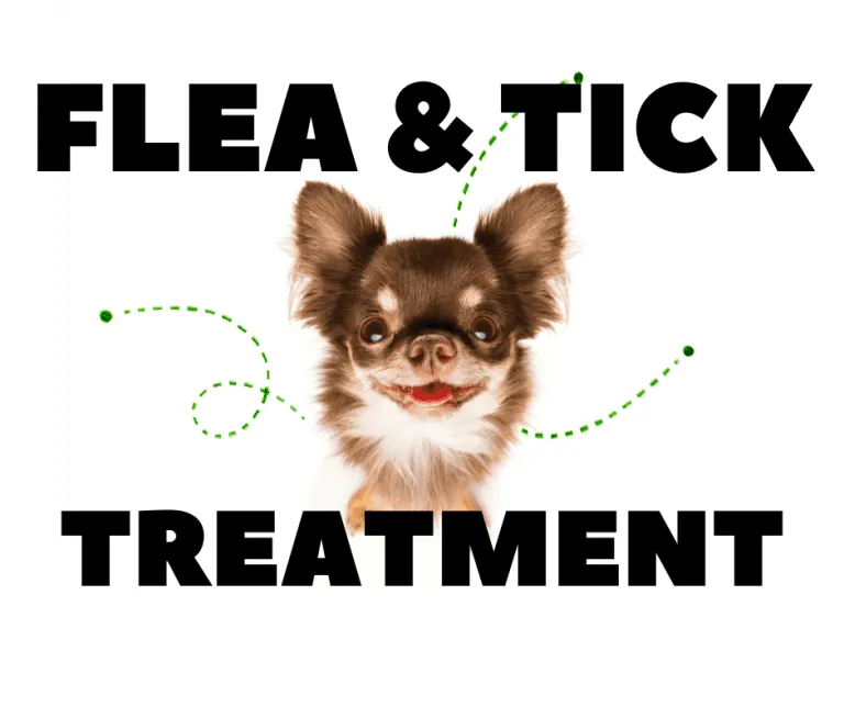 Flea and Tick Treatment