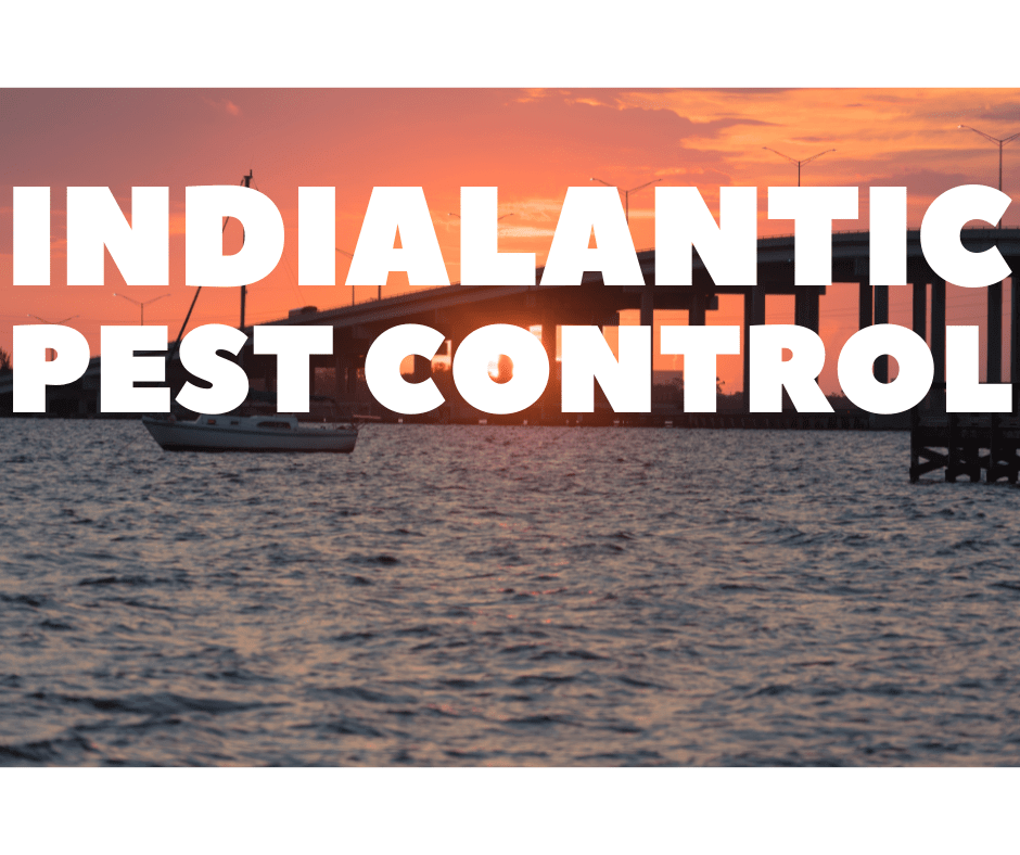 Indialantic Pest Control