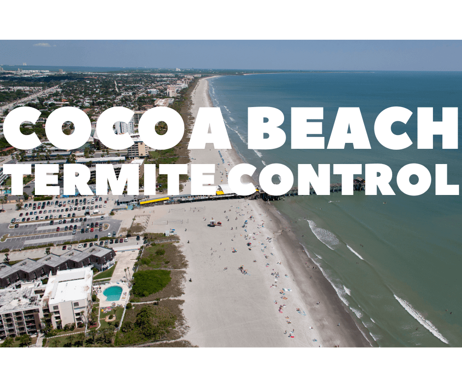 Termite Control Cocoa Beach