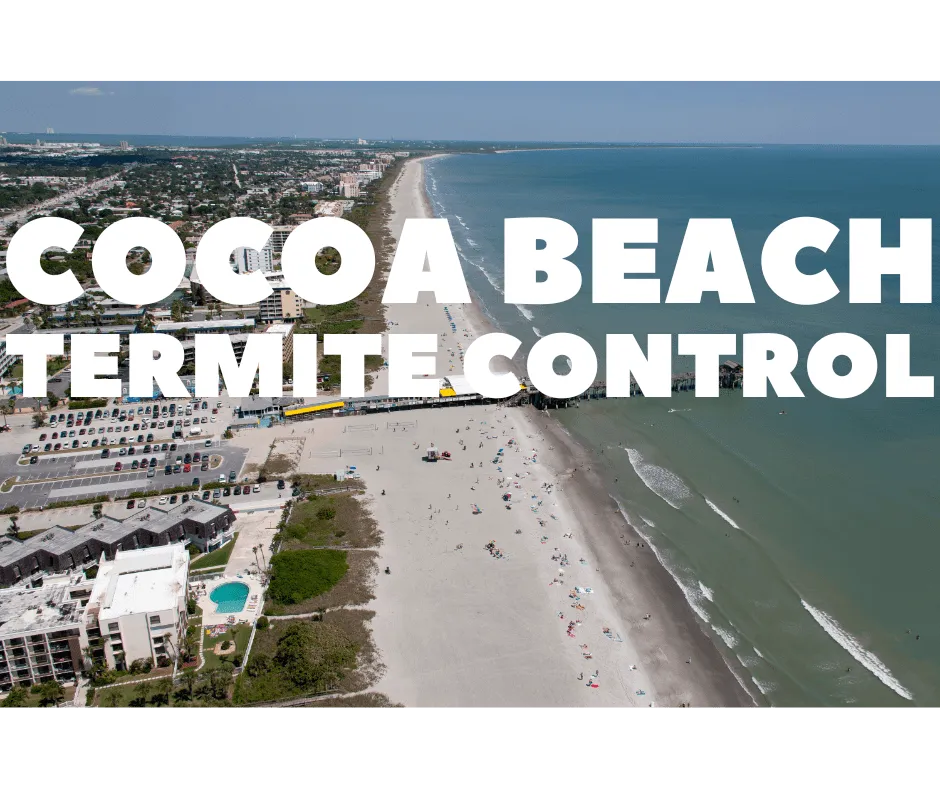 An aerial view of Cocoa Beach, Florida, with the pier and ocean, overlaid with the text "Cocoa Beach Termite Control."