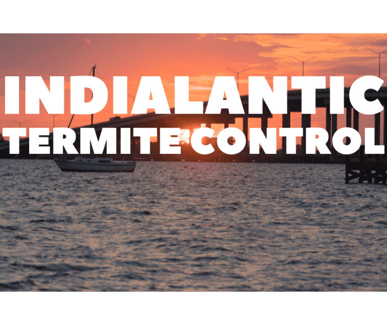 Termite Control Indialantic