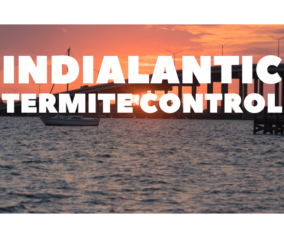 Termite Control Indialantic