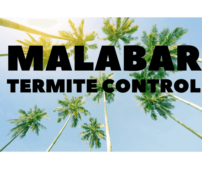 Termite Control Malabar