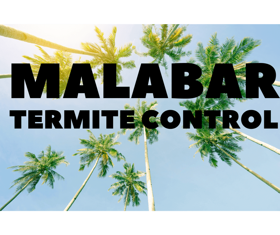Termite Control Malabar