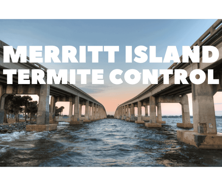 Termite Control Merritt Island