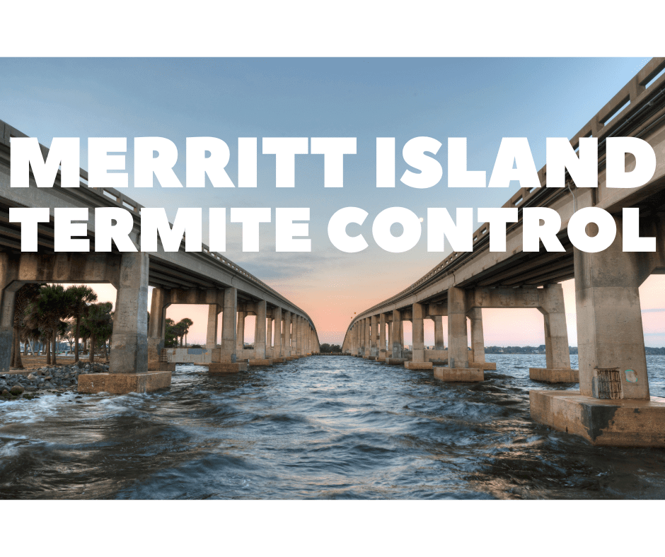 Termite Control Merritt Island