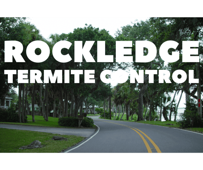 Termite Control Rockledge; A winding residential road in Rockledge, Florida, lined with lush palm trees and oak trees, with "ROCKLEDGE TERMITE CONTROL" in large white letters overlaid on the image.