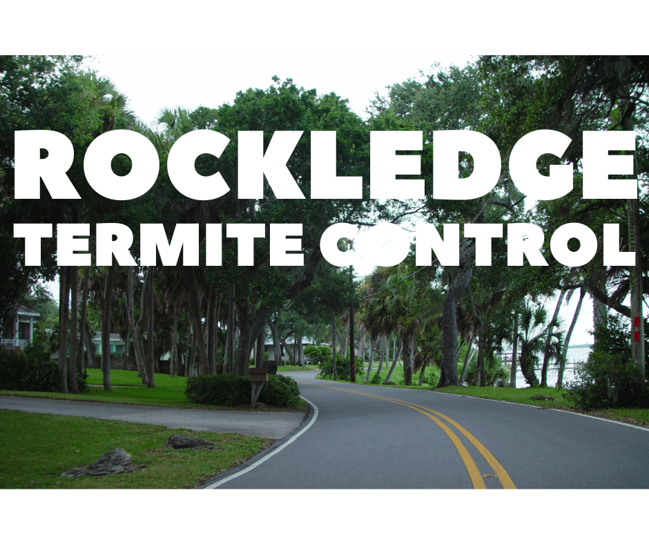Termite Control Rockledge