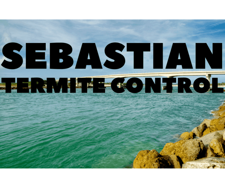 Termite Control Sebastian