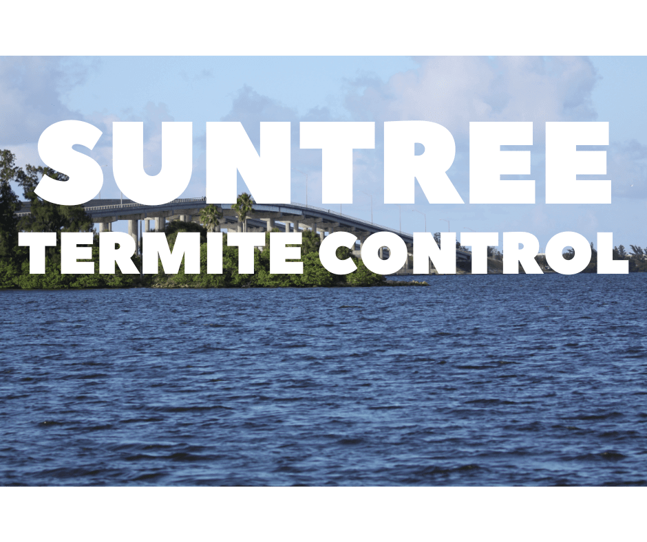 Termite Control Suntree