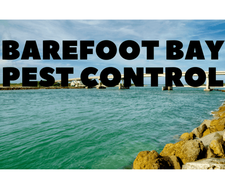 barefoot bay pest control