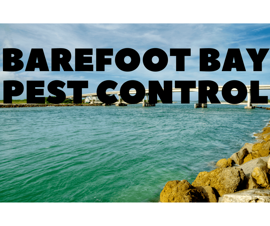 barefoot bay pest control