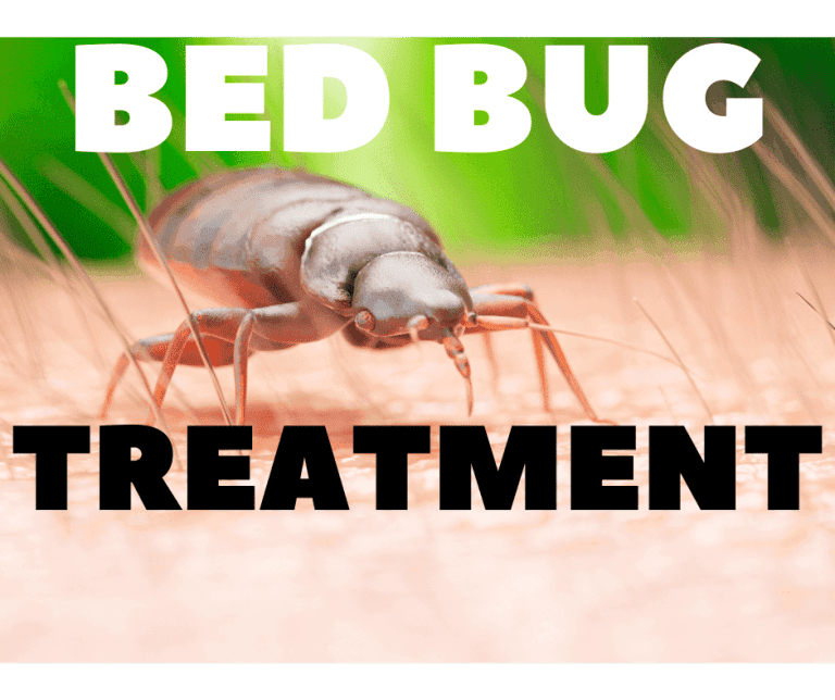 bed bug treatment