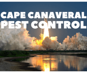 cape canaveral pest control