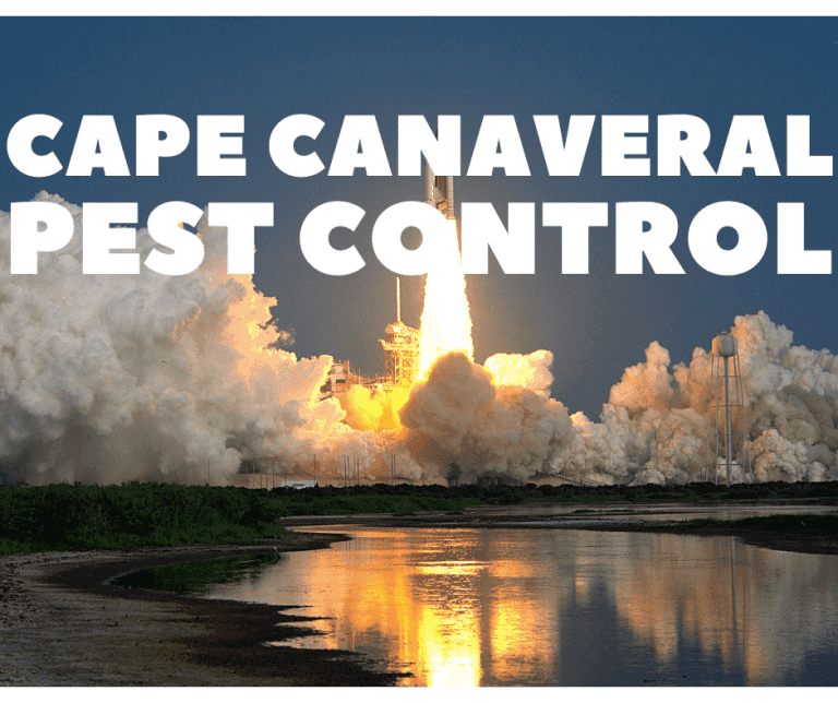 cape canaveral pest control
