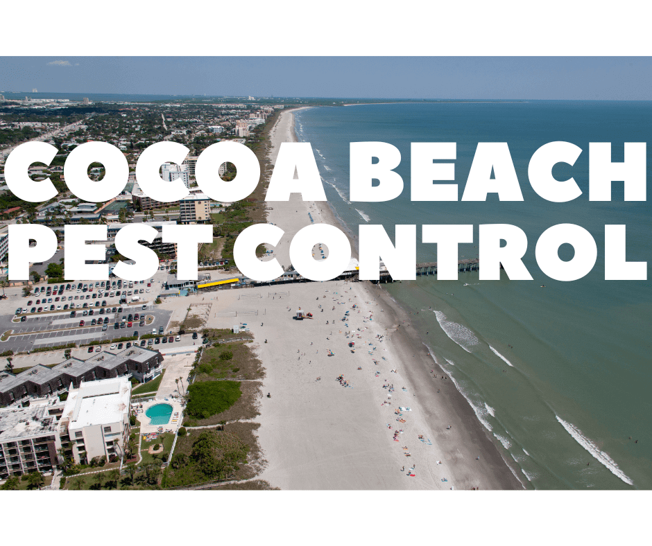 cocoa beach pest control
