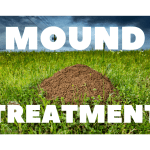 Fire Ant Mound Treatment