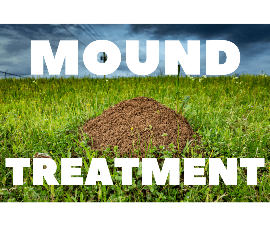 Fire Ant Mound Treatment