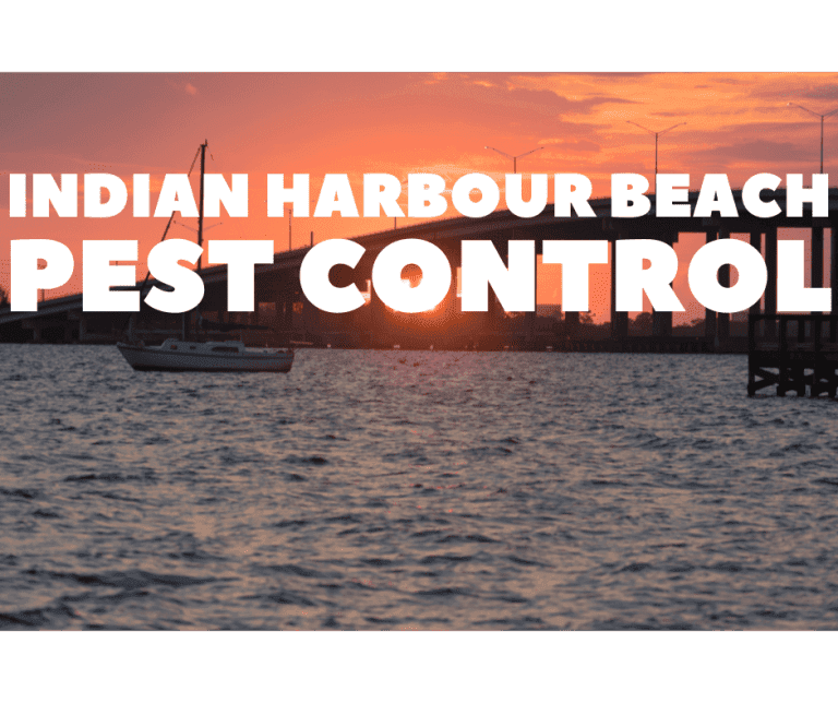 indian harbour beach pest control