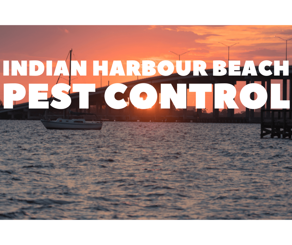 indian harbour beach pest control