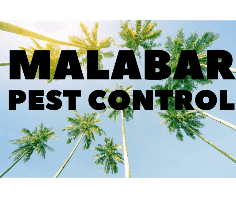 Malabar Pest Control