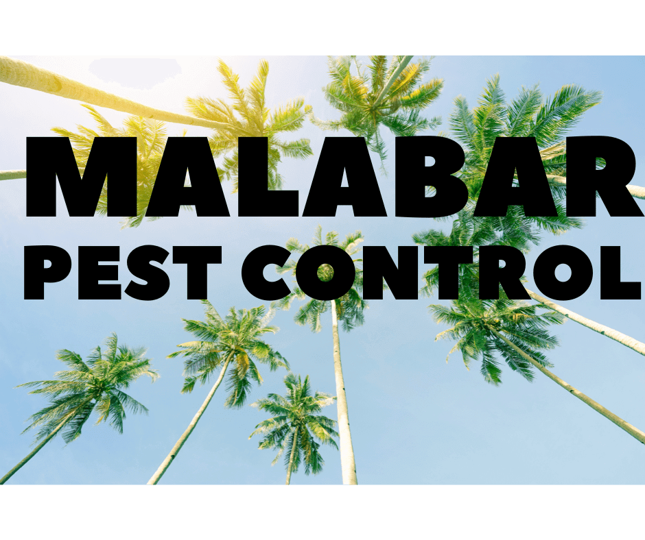 Malabar Pest Control
