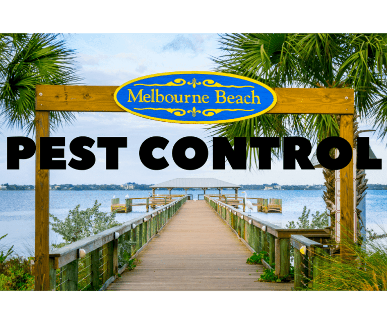 melbourne beach pest control