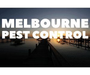 Melbourne Pest Control