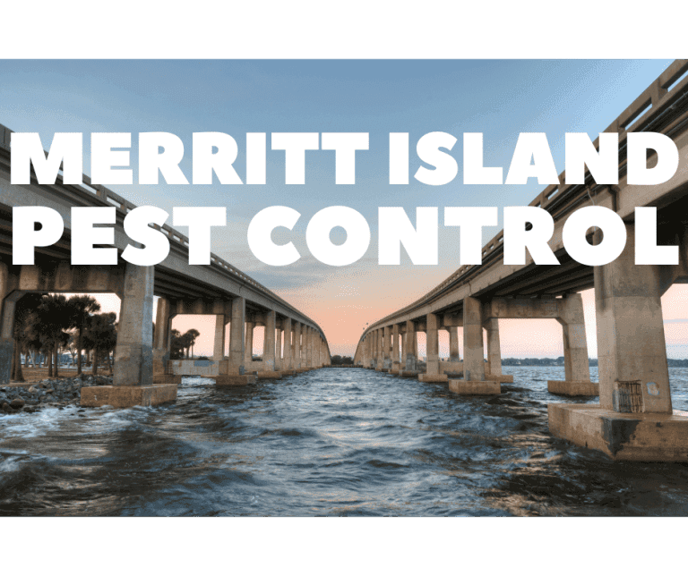 merritt island pest control