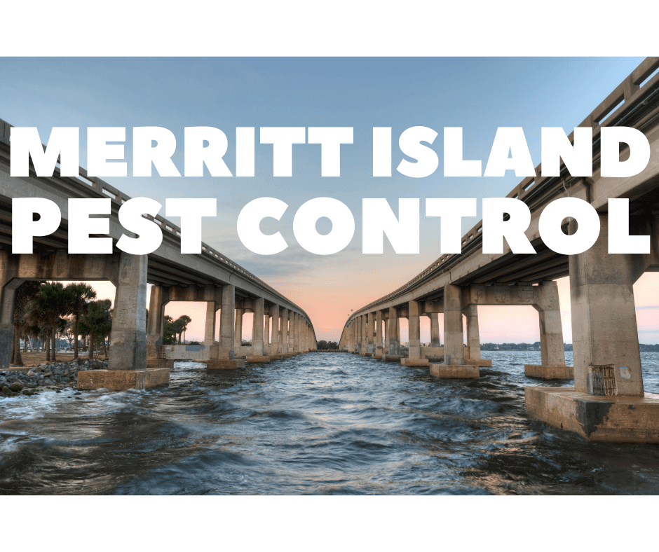 merritt island pest control