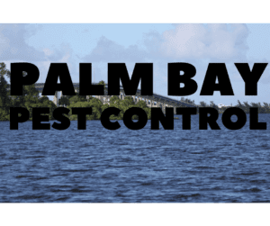 Palm Bay Pest Control. A photo of Palm Bay, Florida