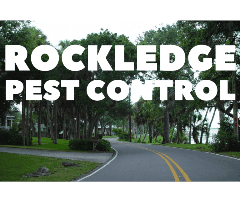 rockledge pest control