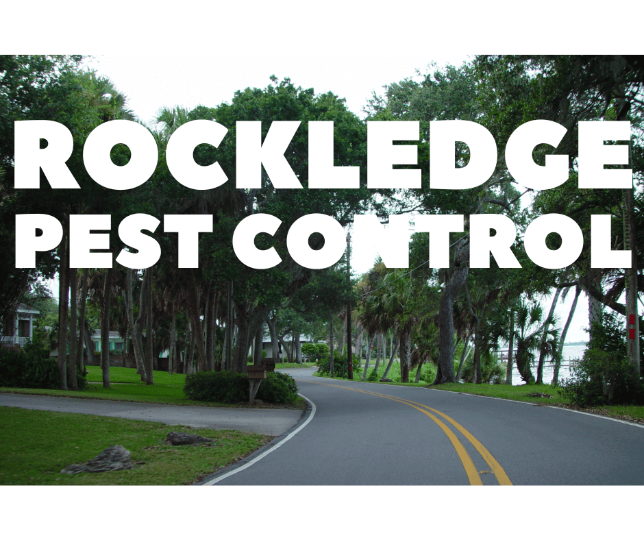 rockledge pest control