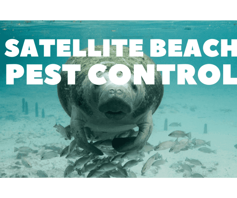 satellite beach pest control, Satellite Beach, Florida